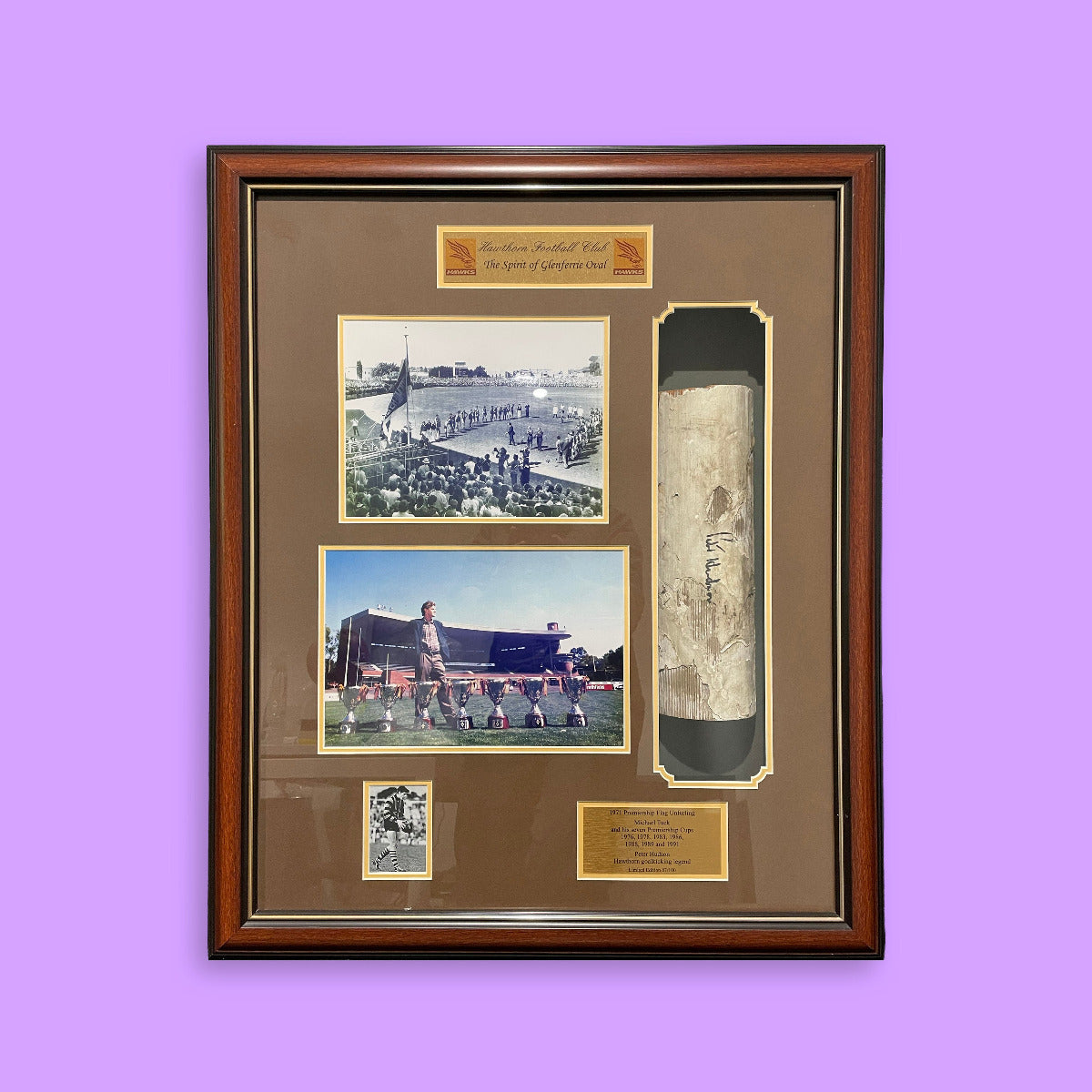 Framed sports memorabilia with a bat and photos on a purple background