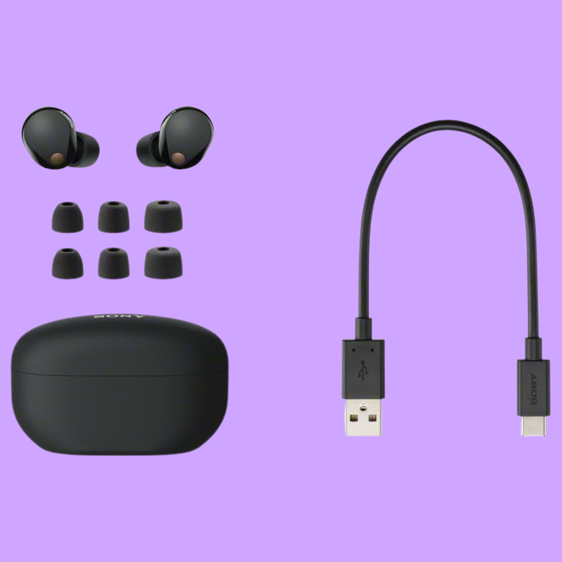 Sony WF-1000XM5 Wireless Noise Cancelling Earphones